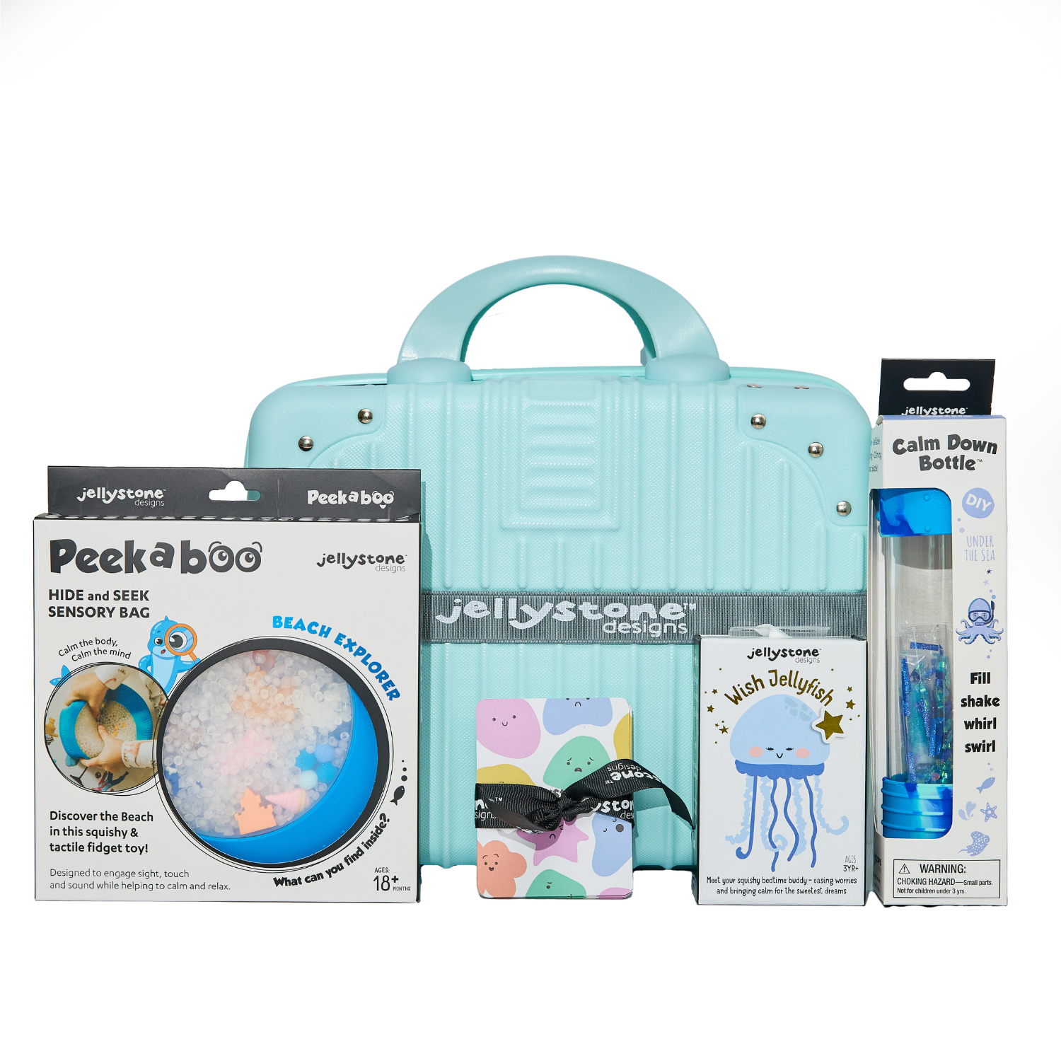 🐟 Big Feelings Play Kit - Under the Sea with Suitcase