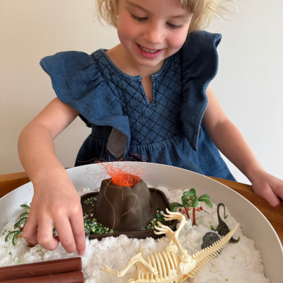 Tray Play Bundle - Dino - PRE-ORDER SHIPPING FROM 17TH NOV