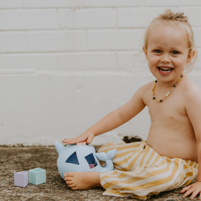 Narwhal Shape Sorter