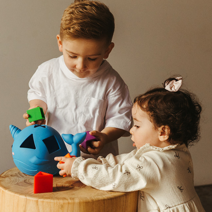 Narwhal Shape Sorter