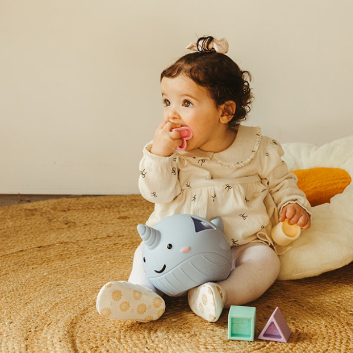 Narwhal Shape Sorter